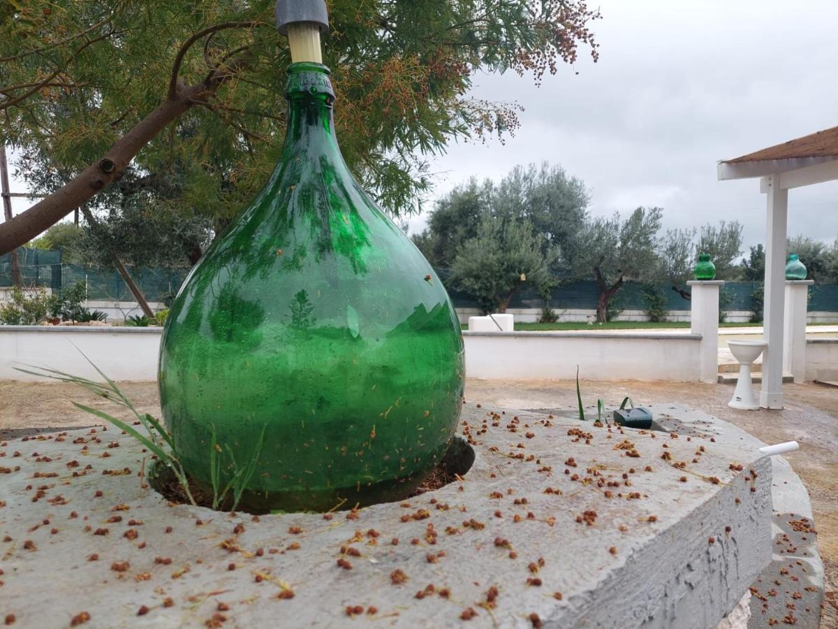 Macchia di Monte Il Vecchio Carrubo - Villa Con Piscina A Sfioro מראה חיצוני תמונה